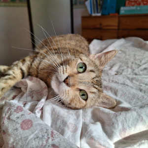 Freya