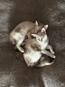 Lara & Libby